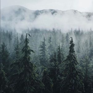 Meet your Posher, May